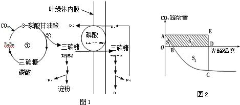 外科手术器械和罐头食品的灭菌处理.标准是要能够杀死 a.球菌b.杆菌c.螺旋菌d.芽孢 题目和参考答案 青夏教育精英家教网